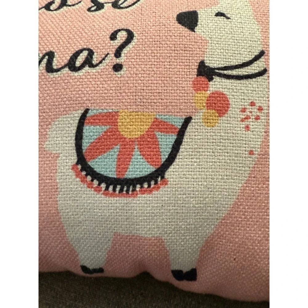 Coma Se Llama Spanish Llama Decorative Pillow Pink Western Style Throw Pillow